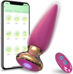 App & Remote Control Prostate Massager – 9-Mode Rechargeable Anal Vibrator for Men