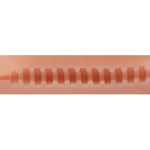 Side Action Pussy And Ass Masturbator