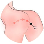 Silicone Anal Beads Anal Plug With 5 Beads Anal Butt Plug With Safe O Ring Anal Sex Toy For Men Women For Masturbation