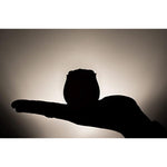 Portable Rose Massager Plus Travel Pouch - Waterproof & Usb Rechargeable - Female Personal Massager Gifts For Women - 10 Patterns - Men & Women - Perfect For Tension Relief