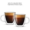 Savor Double Wall Insulated Glasses Espresso Mugs (Set of 2) - 5.4-Ounces