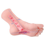 Male Masturbators Cup, Realistic Fetish Foot with Torso and Vaginal, Female Mannequin Foot Male Masturbation Stroker for Man (Left)