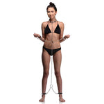 5 Piece Large Stainless Steel Shackle Set