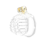 Small And Compact Chastity Devices Male With 5 Cock Rings And Dilator Adult Sex Toys A Lightweight And Attractive Chasity Cage Made Of Abs (M2,Transparent)