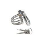Metal Chastity Lock Penis Cage Bondage Tool Hollow Chastity Cage With Key Couple Training Adult Toy