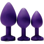 Anal Plugs Silicone Butt Plug,3Pcs Anal Plug Anal Sex Toys Trainer Kit, Anal Butt Plug Sex Toys Kit For Beginner Men Women Couples (Purple)