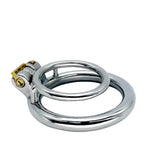 Metal With Lock Training Cock Ring Chastity Lock Chastity Cage Male Enlargement Exercise Bondage Double Penis Ring Cock Cage Sex Toy