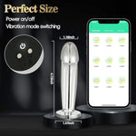 Alshenus Anal Plug Adult Toys, Premium Metal Vibrator Prostate Massager, Vibrating Butt Plug With App Control 10 Vibrating Modes, Clitoral G-Spot Stimulator, Waterproof Anal Dildo For Women, Men