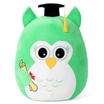 Class Of 2026 18In Graduation Stuffed Animal With Cap, Fringe & Diploma, Grad Gifts For Preschool, Kindergarten, Elementary, High School(Green Owl)