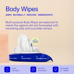 Dame Aloe Body Wipes for Women, pH Balanced Feminine Wipes with Cucumber, Gentle Cleansing for Sensitive Skin, Post Workout, Sweat & Travel, Biodegradable, Vegan & Cruelty Free, 12 Count (2 Pack)