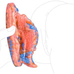 Fantasy Orange Monster Sex Grinder Female Masturbation Adult Sex Toy, Reusable Waterproof Sit And Ride Female Soft Silicone Liquid Grinding Massager (N-Sj5105)