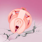 Pink Chastity Cage Male Sex Toy Lightweight Cock Cage Male Chastity Device With 3 Size Rings And Invisible Lock Vertical Lock Penis Cage Male Exerciser For Couple Adult Sex Toys