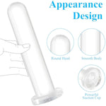 Anal Plug Set?2Ps Butt Plug With Suction Cup?Clear Jelly Dildo
