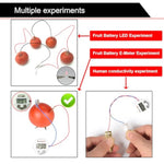 4 Sets Fruit Battery Science Experiment Kit, DIY STEM Project for Students & Teachers