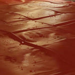 Thin Type Sex Blankets King Waterproof And Stain Proof Queen Size Bed Sheet Cover