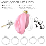 Chastity Device, Female Design Negative Chastity Cage, Comfortable Inverted Chastity Cage With 5 Rings