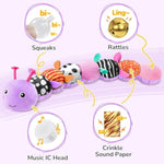Baby Toys 6-12 Months Music Caterpillar,Stuffed Animals Infant Toys 0-3-6 Months,Baby Sensory Toys Tummy Time With Crinkle Rattle Teething Toys For Boys Girls Gifts Birthday|Lavender Purple
