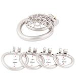 Small Short Chastity Device Male Ergonomic Design Stainless Steel Cock Cage Adult Game Sex Toy S1050 50Mm