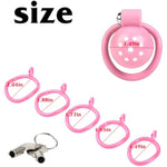 Penis Cage Sex Toys Flat Adult Toys Inverted Chastity Cage Chastity Lock Chastity Device Male Cage Beginner Cage Penis Cage Erection Ring Bondage Couple Lock