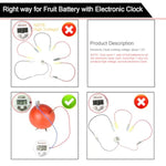 4 Sets Fruit Battery Science Experiment Kit, DIY STEM Project for Students & Teachers