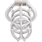 Stealth Convenient Lock Chastity Cage Device Ergonomic Design For Male Sm Penis Exercise Sex Toys K450 (50Mm/ L Size)