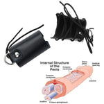 Penis Extender Penis Stretching System Penis Stretcher Universal Fit Package Penis Enlargement Male Enhancement Traction Device Training With 2Pcs Silicone Protector