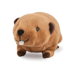 Lifelike Beaver Stuffed Animal With Big Front Teeth Animated Plush Nutria Toy Doll Super Realistic Beaver Act Like Real Excellent Gifts For Kids Birthday Party Or Stuff Collection 12 Inches (Small)