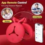 Nipple Toys Vibrator Sex Toys, 4 In 1 App Remote Control Adult Toys Bdsm Toys 1 Pair Women Vibrator Dildos With 10 Tongue Licking Vibrating Nipple Clamps Stimulator Sexual Pleasure Tools For Women