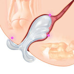 Transparent Butt Plug Sex Toy for Men Women, Wave-Shaped Anal Plug with Safety Base Anal Expander Training Masturbation Prostate Massaging Adult Sex Toys (L)