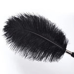 Feather Tickler Fetish Feather Teaser 14.87 Inch Long Teasing Rod Skin Stimulator Cosplay Flirting Sm Sex Toys