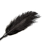 Couple's Feather Teaser Wands for Adults - Soft, Gentle Cleaning Dusters