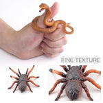 7Pcs Mini Cobra Animals Figures Tarantula Squirrel Snake Animal Toys Cobra Life Cycle Plastic Reptile And Amphibian Figurines Diorama Supplies Birthday Party Favors Cake Topper For Boys Girls Kid