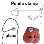 Nipple Clamps For Sex Pleasure Clitoris Labia Clamps Bdsm Bondage Restraint Sexual Stimulate Device Clit Clamp Fetish Nipple Toys Non Piercing Teasers Breast Clips Ball For Women Couple?5 Pairs