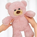 Teddy Bear Plush Toy, 10Inches Teddy Bear Stuffed Animal Birthday For Kids Girl Friends (Pink)
