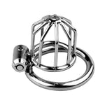 Chastity Cage With 3 Different Sizes Rings Press-Lock Chastity Device Stainless Steel Breathable Cock Cage Adult Bdsm Bondage Fetish Sex Toy For Men Training