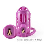 Male Hollow Chastity Cage Bondage Set, Cock Cage With Carabiner And 2 Keys, Invisible Lock Design, Penis Sm Fetish Adult Sex Toys For Men (Purple)