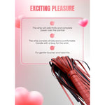 Whip For Adults Play Dominatrix Training Red Faux Leather Flogger 20"