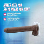 Blush Au Naturel Daddy 14" Realistic Dildo With Balls, Dual Density Flexishaft Xxl Cock, 2.5" Wide - Suction Cup, Harness Compatible - X5 Plus Adult Sex Toy Penis For Women, Men & Couples -(Chocolate)