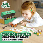 Life Cycle Animal Kit - Montessori Science Toy With 24-Piece Matching Game, Butterfly, Frog, Chicken, Bee, Ladybug & Turtle Stem Educational, Stocking Stuffers For Kids Ages 3-8