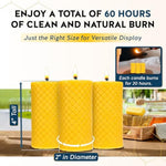 3 Pack Pure Beeswax Pillar Candles, 2 x 4 Inch, Unscented & Dripless