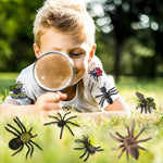 48Pcs Mini Bug Toys Fake Plastic Bugs And Insects For Kids Toddler Halloween Birthday Party Favors Easter Valentines Basket Stuffers Goodie Bag Fillers April Fool'S Day Prank Gifts