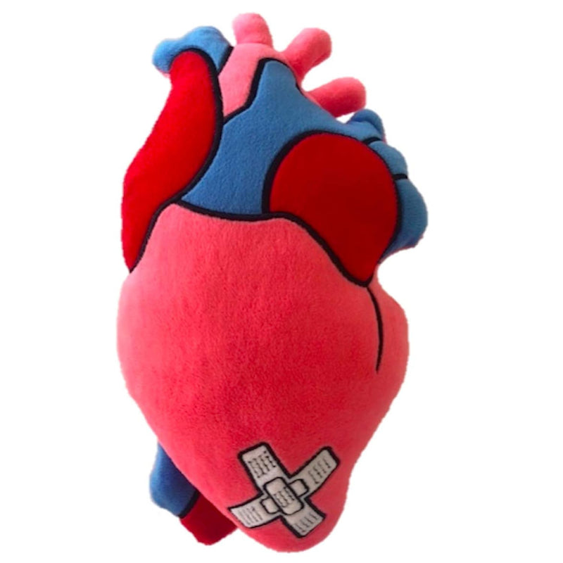 Zymise Tangdiaabbcc Stuffed Plush Anatomical Heart Pillow