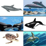 24Pcs Mini Ocean Animal Figurines - Realistic Sea Creatures Toy Figures With Sharks, Whales & Walrus - Under The Sea Life Figure For Party Decoration, Easter Egg Filler & School Project