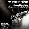 Stewart Whistling Stovetop Tea Kettle Food Grade Stainless Steel, Hot Water Fast to Boil, Cool Touch Folding, 1.5-Quart, Brushed with Black Handle