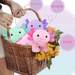 Axolotl Plush, Soft Cute Axolotl Stuffed Animal Plushies, Kawaii Plushies Dolls For Kids, Gift For Girls Boys (Pink-B)