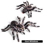 Realistic Animal Figures - Spider Action Model Lifelike Insect Toy Figures - Educational Learning Toys Birthday Set For Boys Girls Kids Toddlers (Giant Whiteknee)