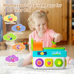 Montessori Toys For 1-2 Year Old Boys Girls, 1St First Birthday Gift For One Year Old, Baby 12-18 Month Educational Shape Matching Game W/ Lights & Sound, Fine Motor Learning Toys For Toddlers 1-3