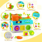 Montessori Toys For 1-2 Year Old Boys Girls, 1St First Birthday Gift For One Year Old, Baby 12-18 Month Educational Shape Matching Game W/ Lights & Sound, Fine Motor Learning Toys For Toddlers 1-3