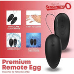 Remote Vibe – Discreet Egg Vibrator For Women, Wireless Bullet Toy For Solo Or Couples Pleasure