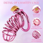Chastity Cage - Male Chastity Devices With Chastity Belt, 3 Sizes Rings (1.57", 1.77", 1.97"), 2 Keys & 1 Lock, Purple Cock Cage, Large Stainless Steel Penis Bondage Restraints Bdsm Sex Toy For Men